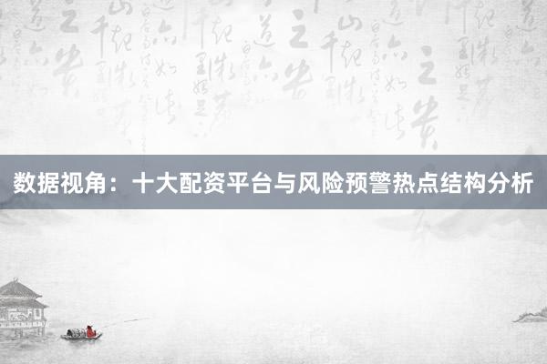 数据视角：十大配资平台与风险预警热点结构分析