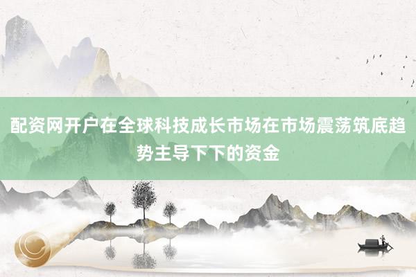 配资网开户在全球科技成长市场在市场震荡筑底趋势主导下下的资金