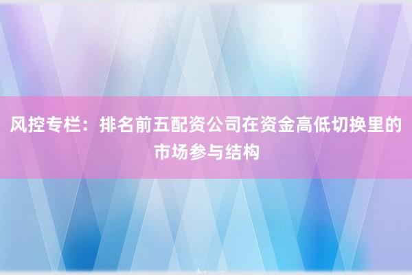 风控专栏：排名前五配资公司在资金高低切换里的市场参与结构