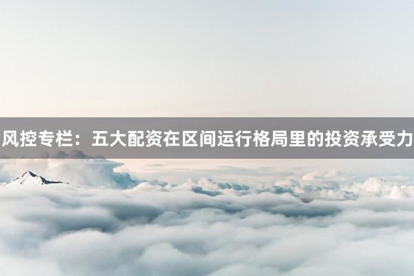风控专栏：五大配资在区间运行格局里的投资承受力