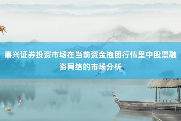 嘉兴证券投资市场在当前资金抱团行情里中股票融资网络的市场分析