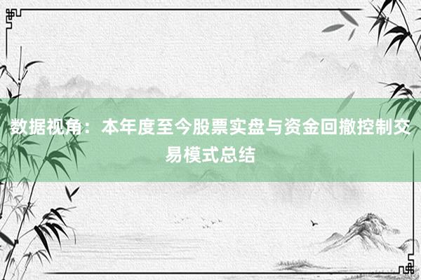 数据视角：本年度至今股票实盘与资金回撤控制交易模式总结