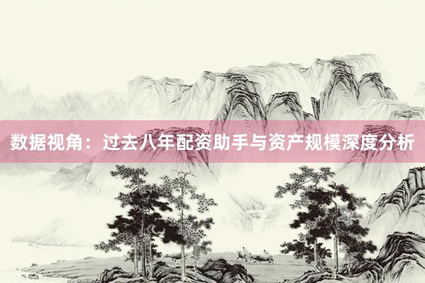 数据视角：过去八年配资助手与资产规模深度分析