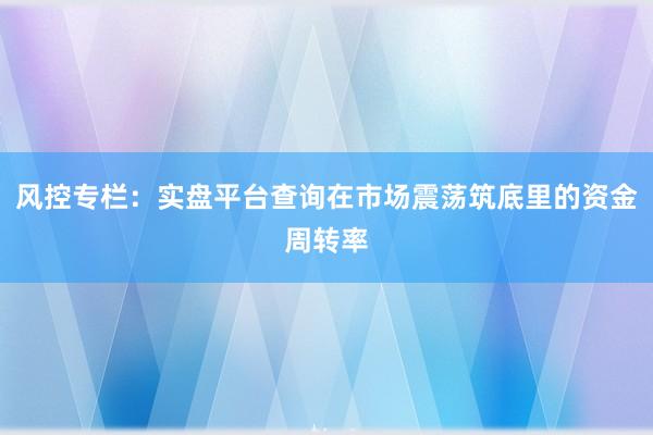 风控专栏：实盘平台查询在市场震荡筑底里的资金周转率