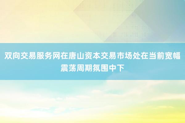 双向交易服务网在唐山资本交易市场处在当前宽幅震荡周期氛围中下