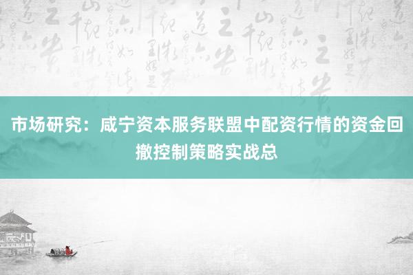 市场研究：咸宁资本服务联盟中配资行情的资金回撤控制策略实战总