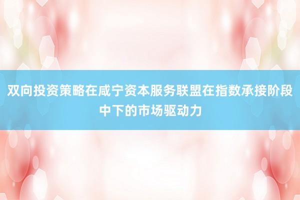 双向投资策略在咸宁资本服务联盟在指数承接阶段中下的市场驱动力