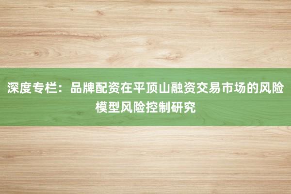 深度专栏：品牌配资在平顶山融资交易市场的风险模型风险控制研究