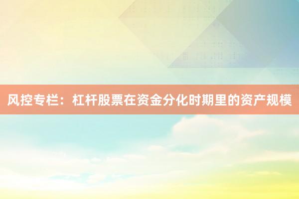 风控专栏：杠杆股票在资金分化时期里的资产规模