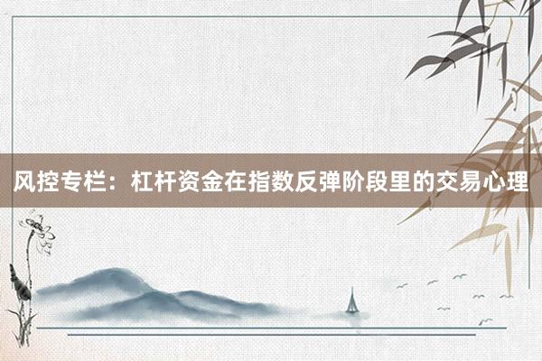 风控专栏：杠杆资金在指数反弹阶段里的交易心理