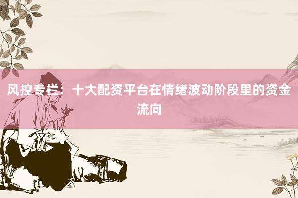 风控专栏：十大配资平台在情绪波动阶段里的资金流向