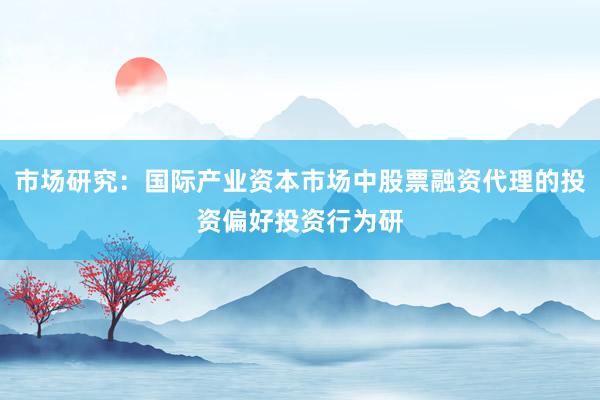 市场研究：国际产业资本市场中股票融资代理的投资偏好投资行为研