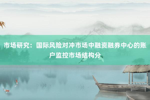市场研究：国际风险对冲市场中融资融券中心的账户监控市场结构分