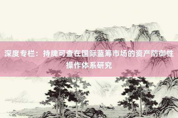 深度专栏：持牌可查在国际蓝筹市场的资产防御性操作体系研究