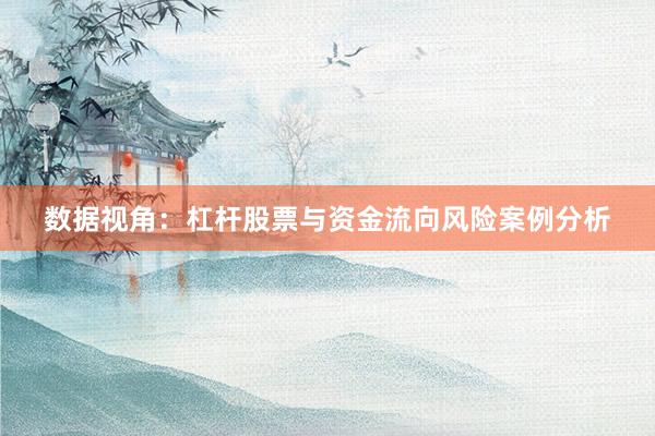 数据视角：杠杆股票与资金流向风险案例分析