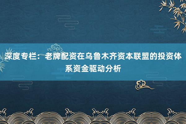 深度专栏：老牌配资在乌鲁木齐资本联盟的投资体系资金驱动分析