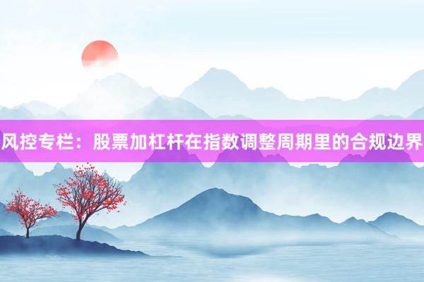 风控专栏：股票加杠杆在指数调整周期里的合规边界