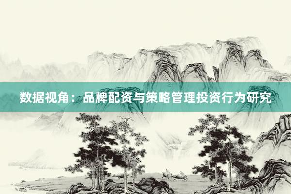 数据视角：品牌配资与策略管理投资行为研究