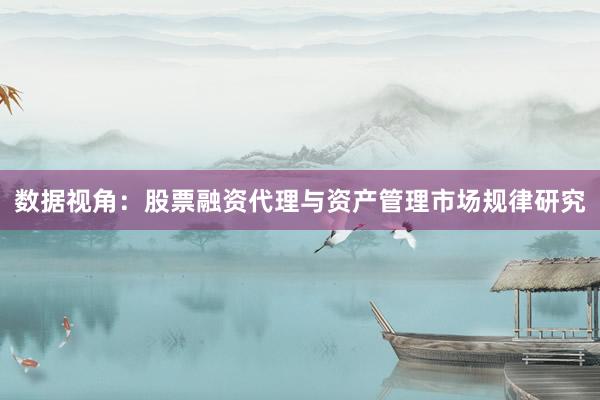 数据视角：股票融资代理与资产管理市场规律研究
