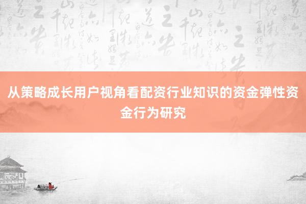 从策略成长用户视角看配资行业知识的资金弹性资金行为研究