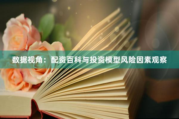 数据视角：配资百科与投资模型风险因素观察