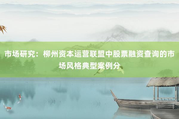 市场研究：柳州资本运营联盟中股票融资查询的市场风格典型案例分