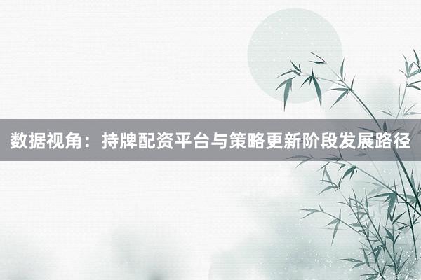 数据视角：持牌配资平台与策略更新阶段发展路径