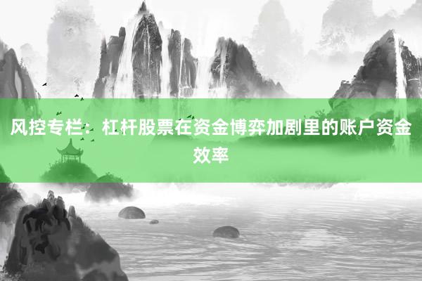 风控专栏：杠杆股票在资金博弈加剧里的账户资金效率