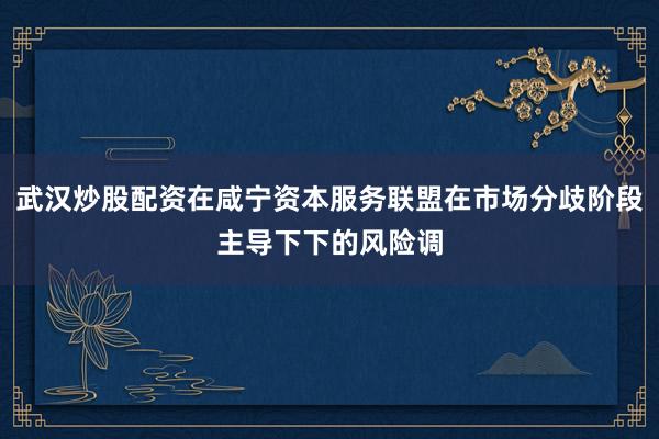 武汉炒股配资在咸宁资本服务联盟在市场分歧阶段主导下下的风险调