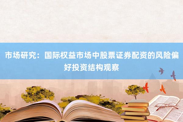 市场研究：国际权益市场中股票证券配资的风险偏好投资结构观察