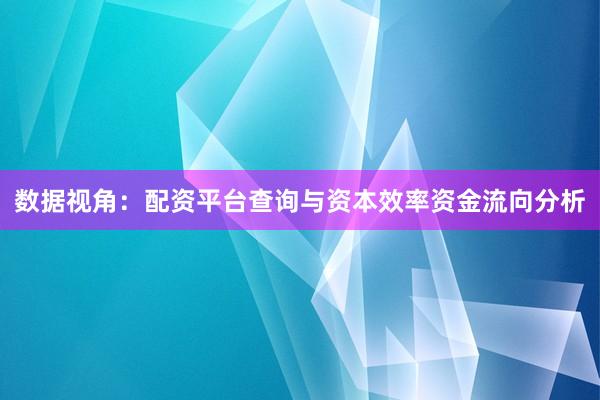 数据视角：配资平台查询与资本效率资金流向分析