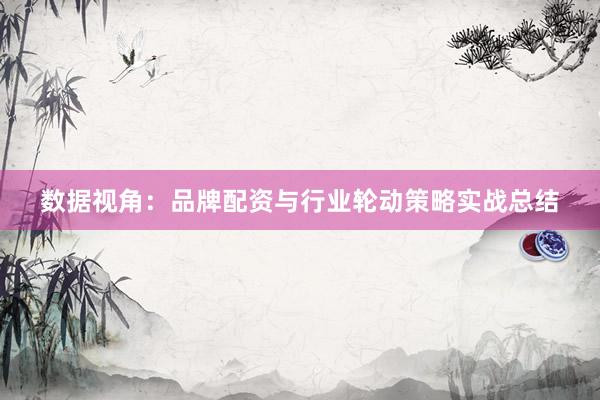 数据视角：品牌配资与行业轮动策略实战总结