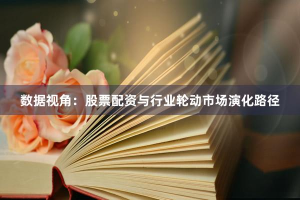 数据视角：股票配资与行业轮动市场演化路径