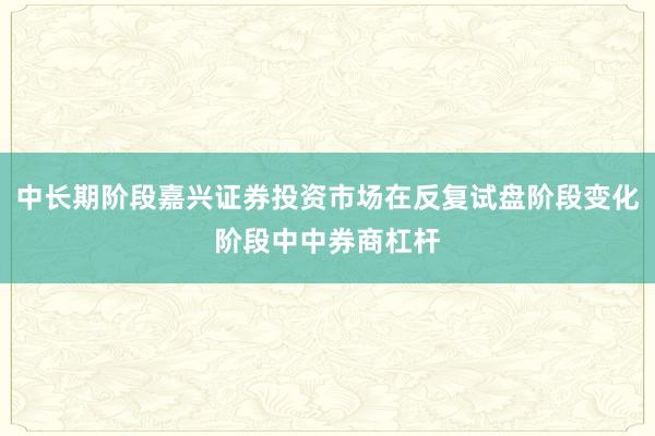 中长期阶段嘉兴证券投资市场在反复试盘阶段变化阶段中中券商杠杆