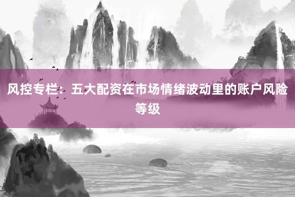 风控专栏：五大配资在市场情绪波动里的账户风险等级