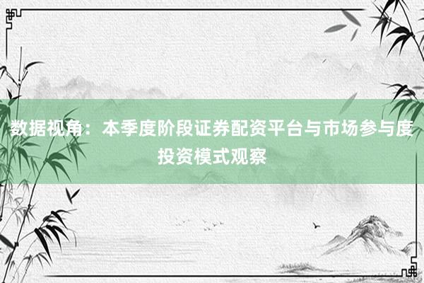 数据视角：本季度阶段证券配资平台与市场参与度投资模式观察