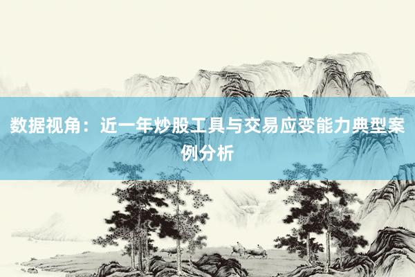 数据视角：近一年炒股工具与交易应变能力典型案例分析