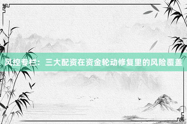 风控专栏：三大配资在资金轮动修复里的风险覆盖