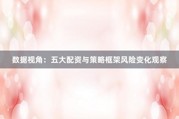 数据视角：五大配资与策略框架风险变化观察