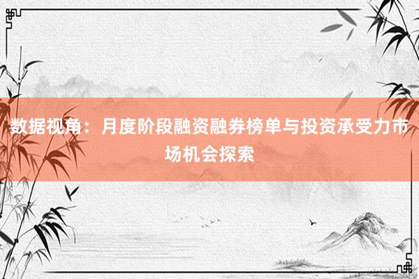 数据视角：月度阶段融资融券榜单与投资承受力市场机会探索