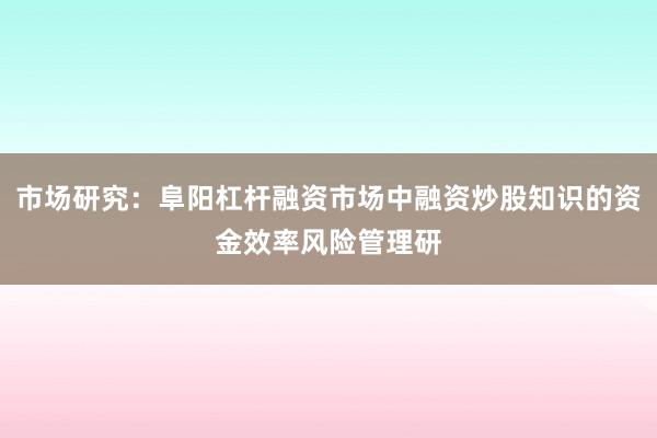市场研究：阜阳杠杆融资市场中融资炒股知识的资金效率风险管理研