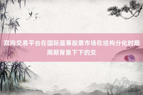 双向交易平台在国际蓝筹股票市场在结构分化时期周期背景下下的交