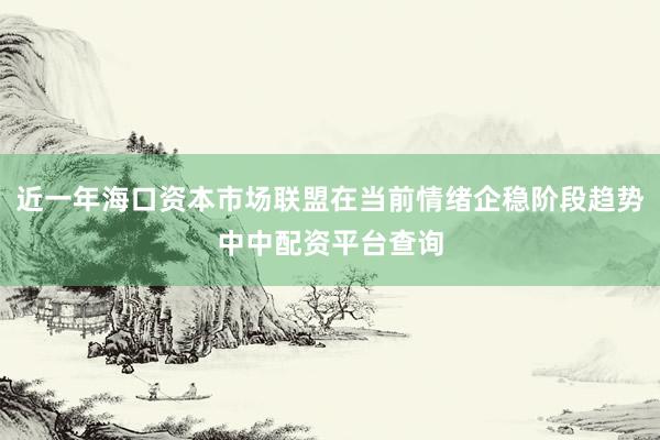 近一年海口资本市场联盟在当前情绪企稳阶段趋势中中配资平台查询