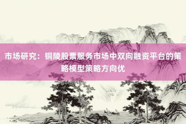 市场研究：铜陵股票服务市场中双向融资平台的策略模型策略方向优