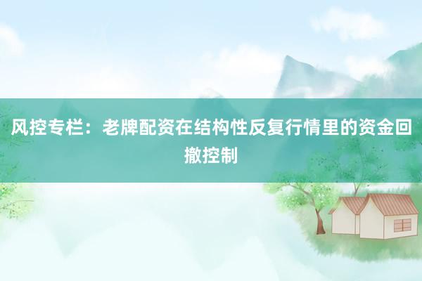 风控专栏：老牌配资在结构性反复行情里的资金回撤控制