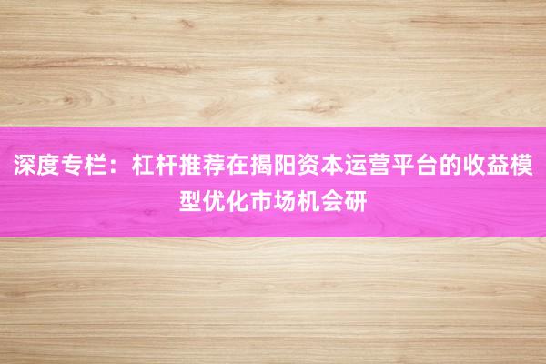 深度专栏：杠杆推荐在揭阳资本运营平台的收益模型优化市场机会研