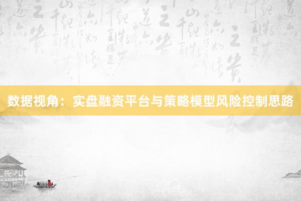 数据视角：实盘融资平台与策略模型风险控制思路