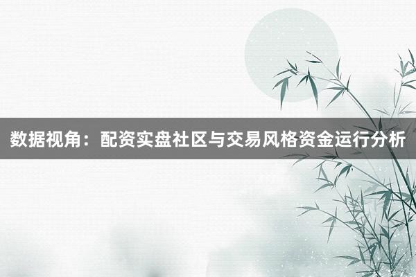数据视角：配资实盘社区与交易风格资金运行分析