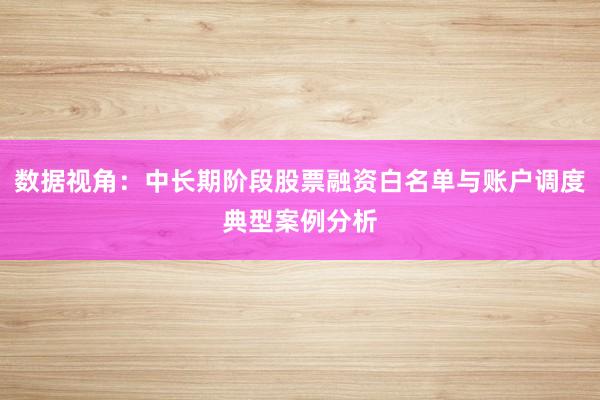 数据视角：中长期阶段股票融资白名单与账户调度典型案例分析
