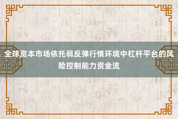 全球资本市场依托弱反弹行情环境中杠杆平台的风险控制能力资金流